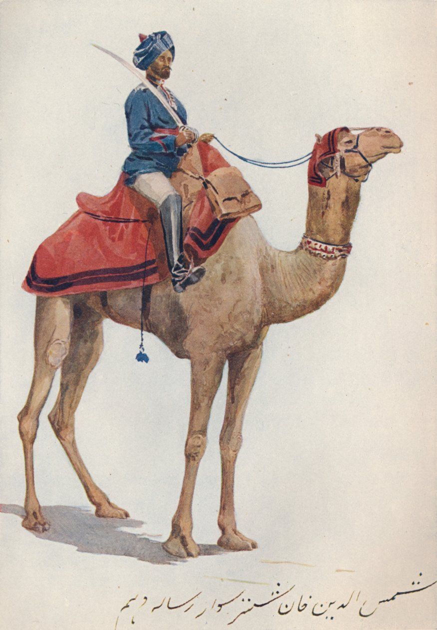 Velbloudí sowar z 10. Bengálských kopiníků, c1880 1905. od Alexander Henry Hallam Murray