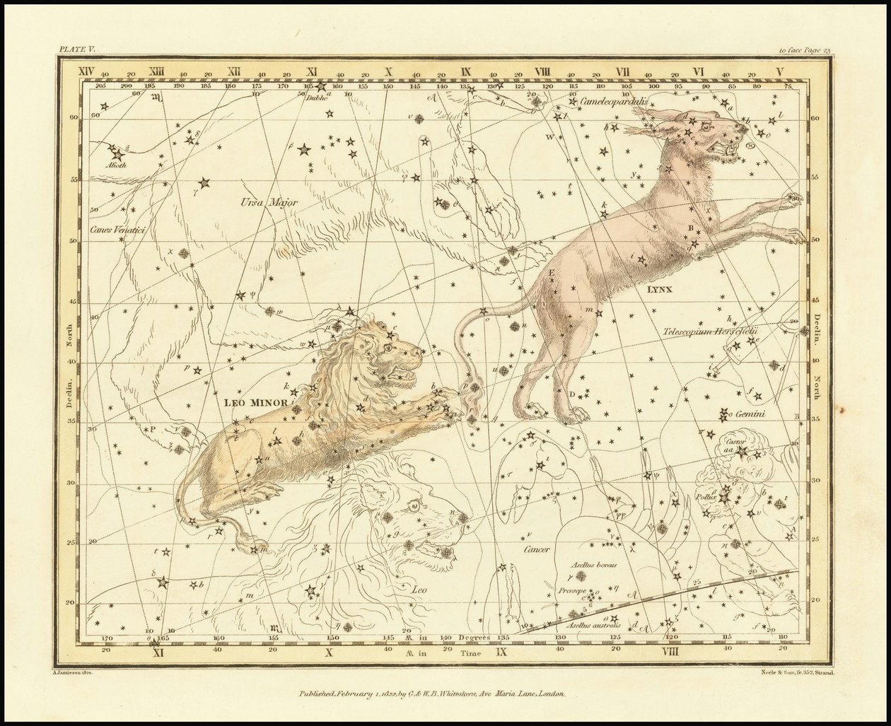 1822 - Alexander Jamieson - Lynx  Leo Minor od Alexander Jamieson
