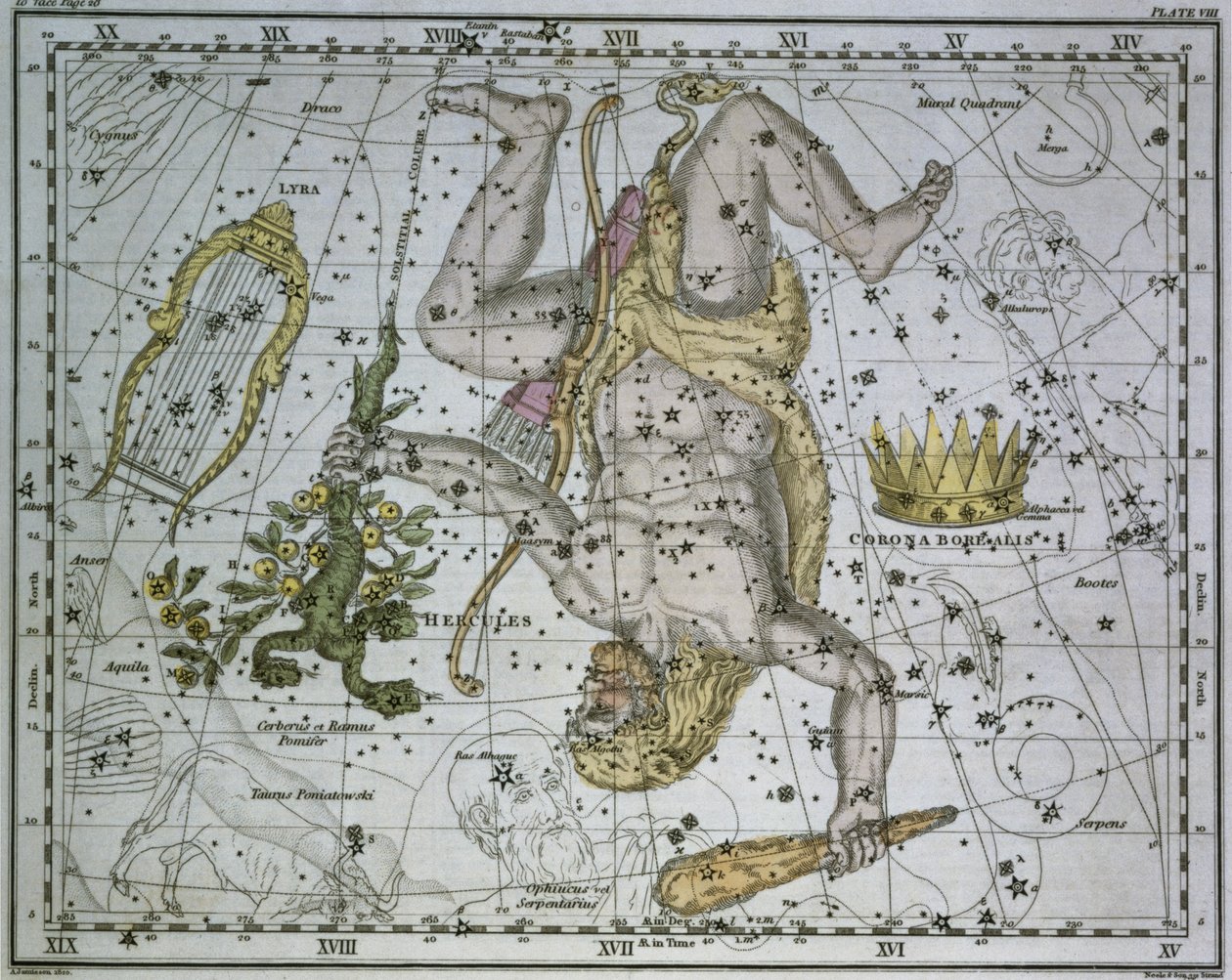 Hercules, z 