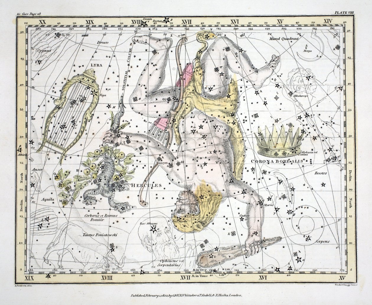 Souhvězdí (deska VIII) Corona Borealis, Herkules a Cerberus, Lyra, z 