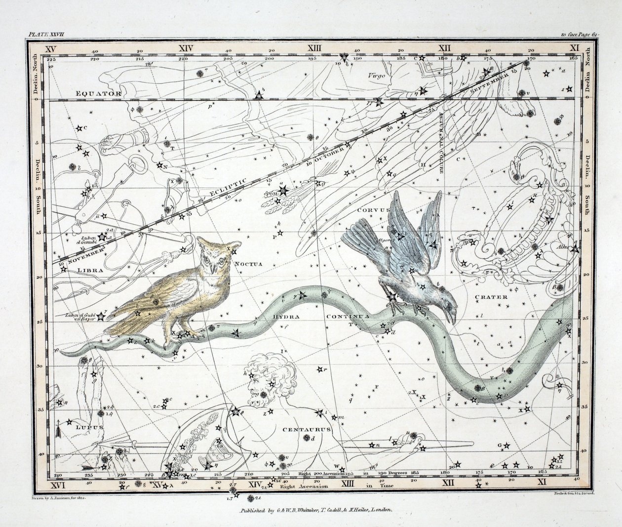 Souhvězdí (Plate XXVII) Hydra Continua, Kráter, Covus, Centaurus a Lupus, z 