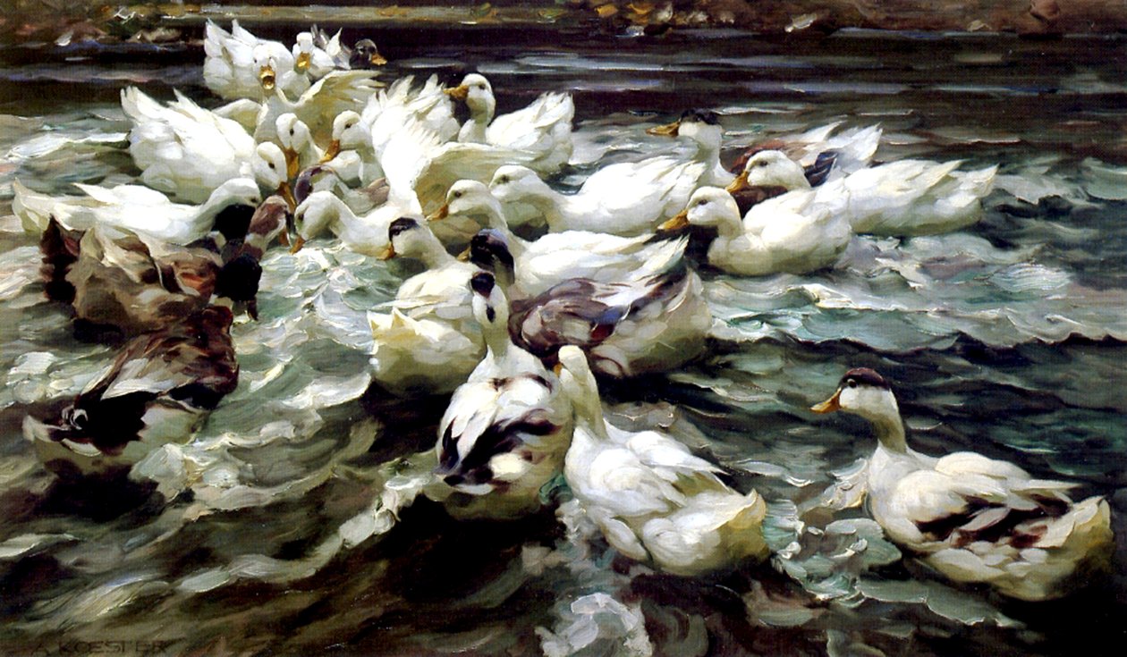 Shromáždění kachen (olej na plátně) od Alexander Koester