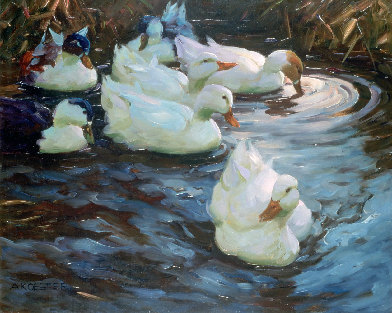Kachny na rybníku, c1884-1932 od Alexander Koester