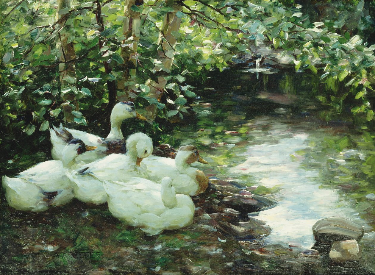 Pět kachen na řece, kamenité pobřeží; Funf Enten am Bach, Steiniges Ufer od Alexander Koester