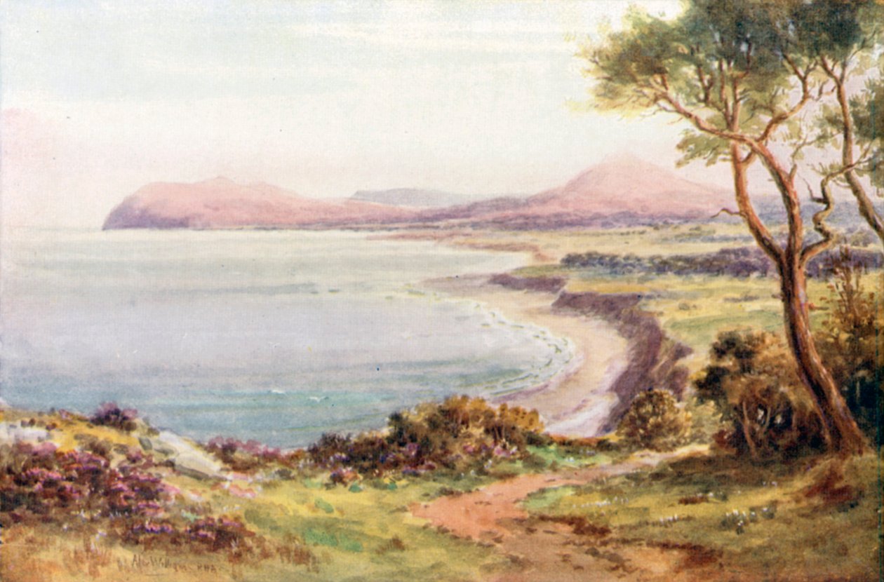  od Alexander Williams
