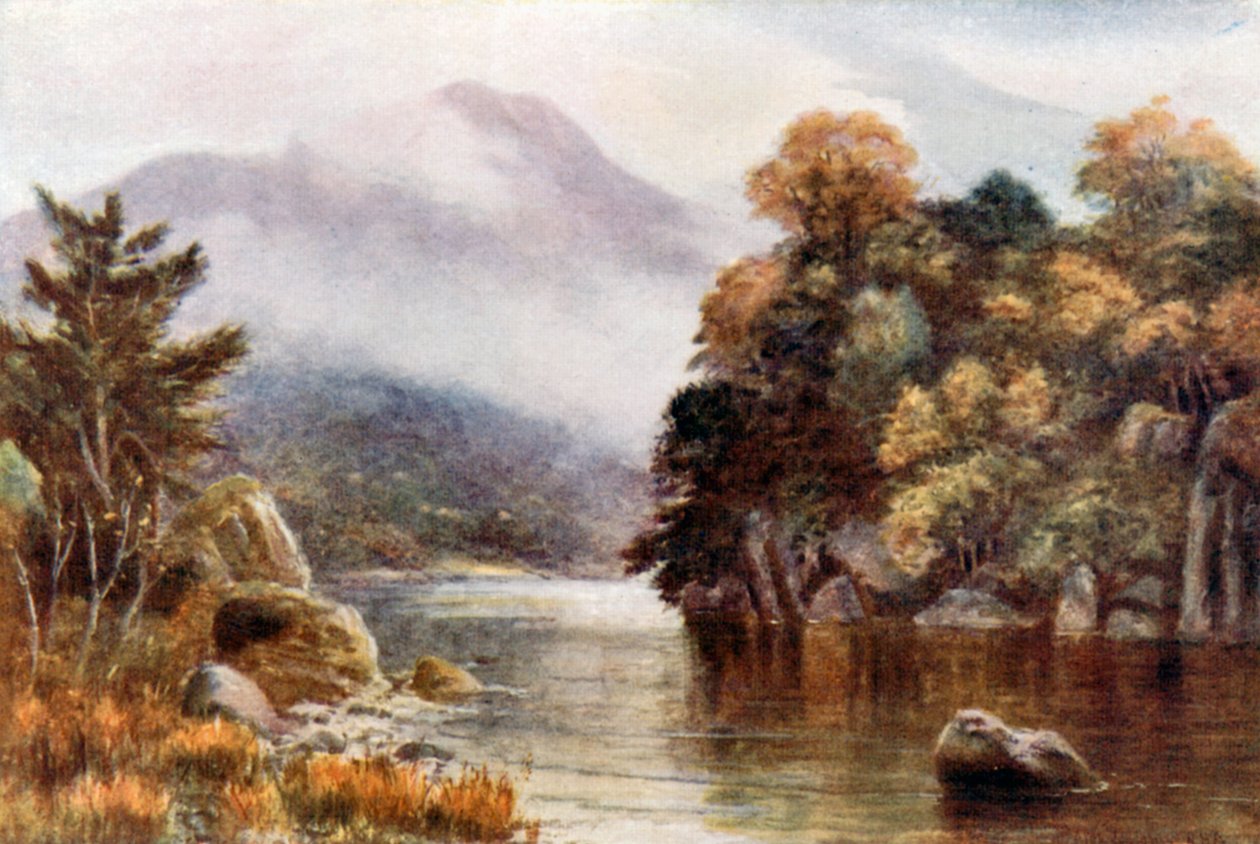  od Alexander Williams