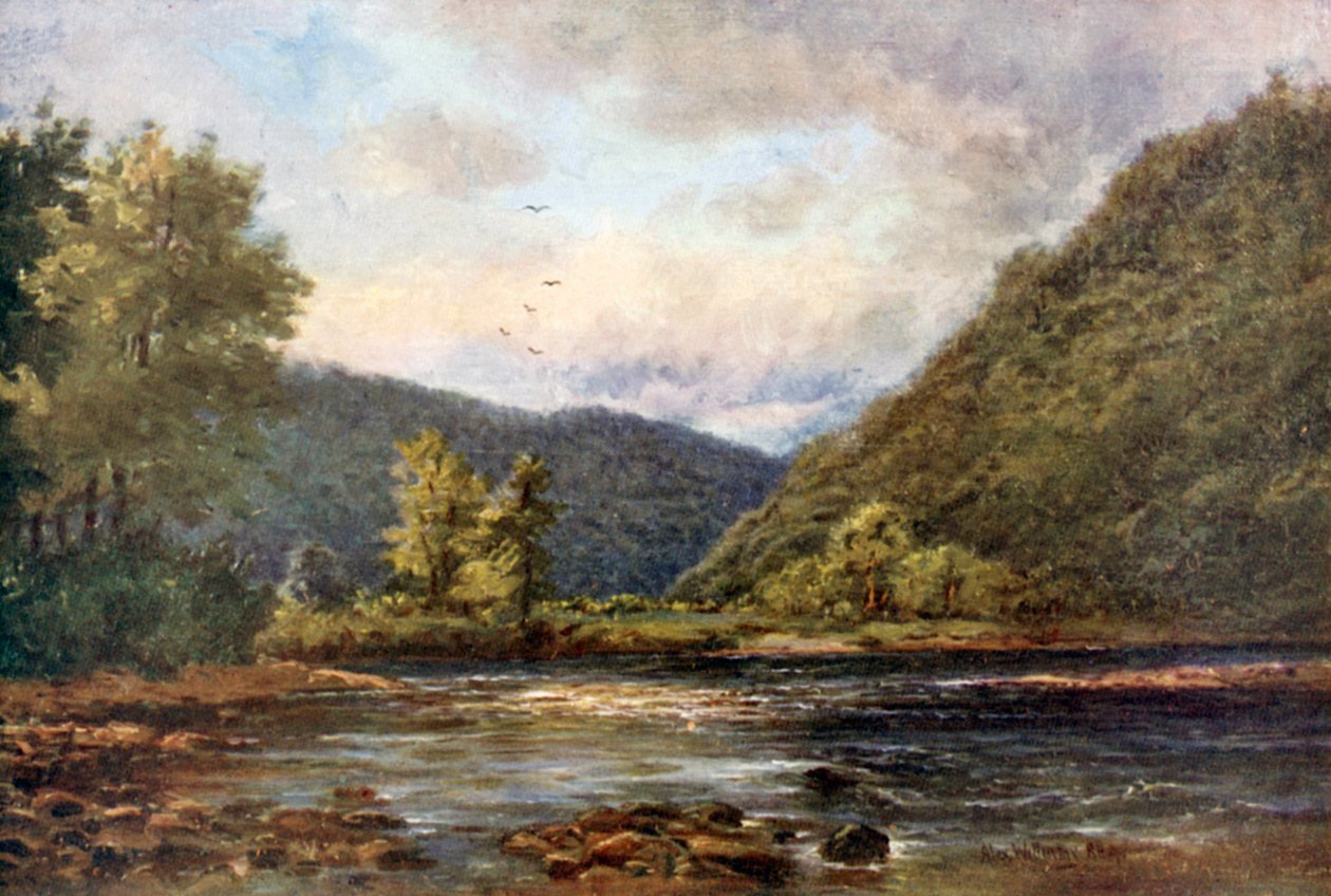 The Meeting of the Waters, Woodenbridge (barevná litografie) od Alexander Williams