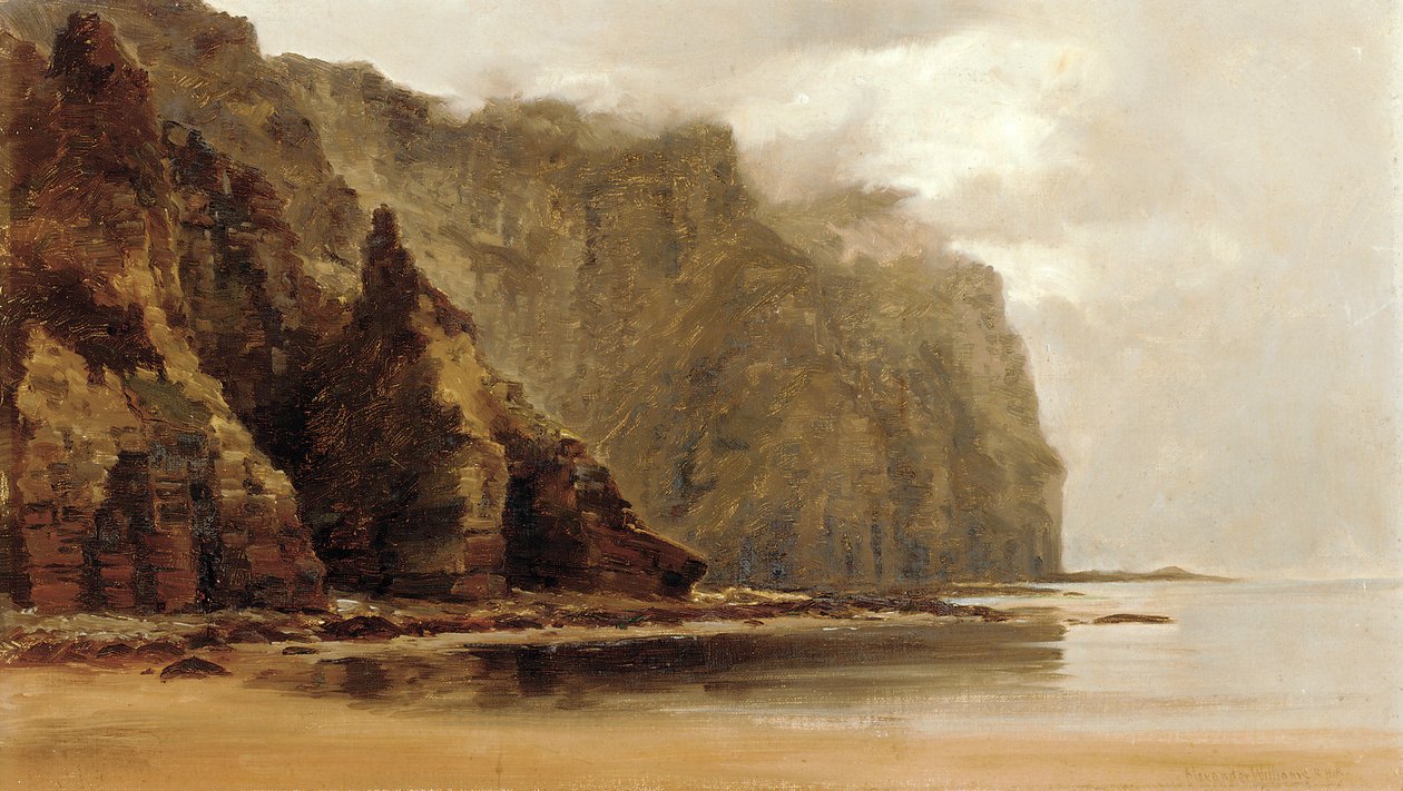 The Minaun Cliffs, Achill Island, County Connacht, Irsko (olej na plátně) od Alexander Williams