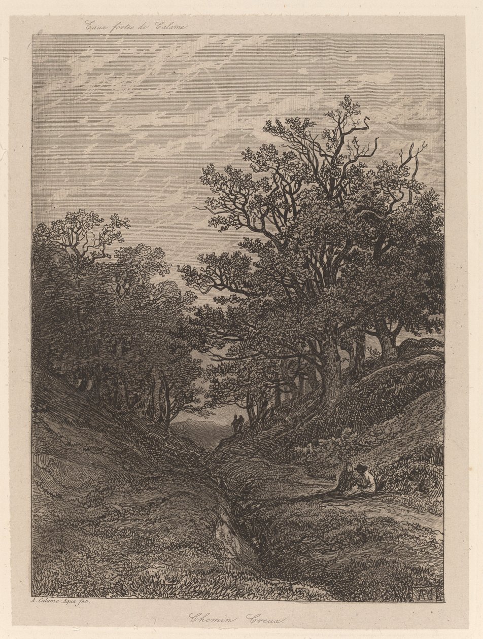 Dutá cesta od Alexandre Calame