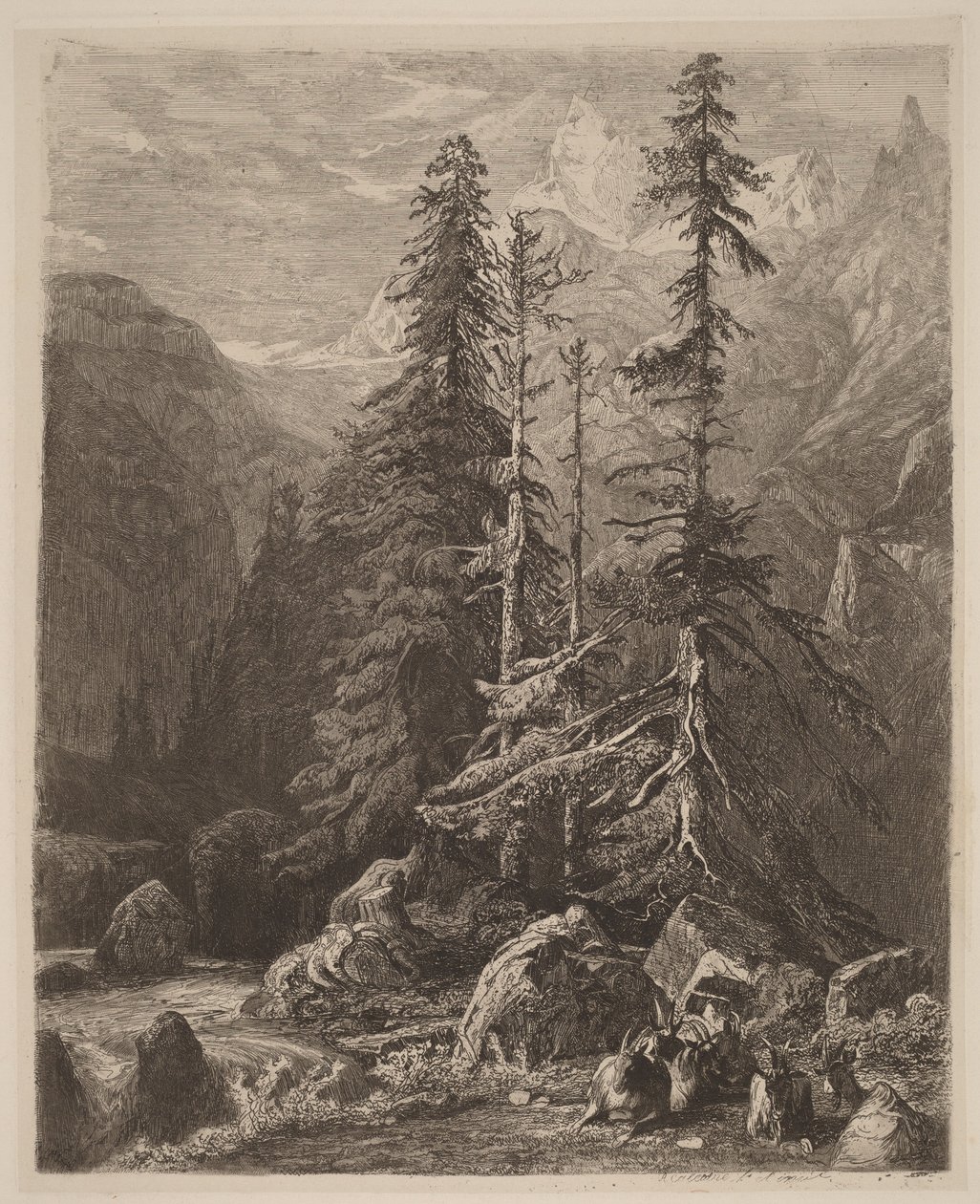 Zkušební leptané kresby od Alexandre Calame, I, tab. 21 od Alexandre Calame