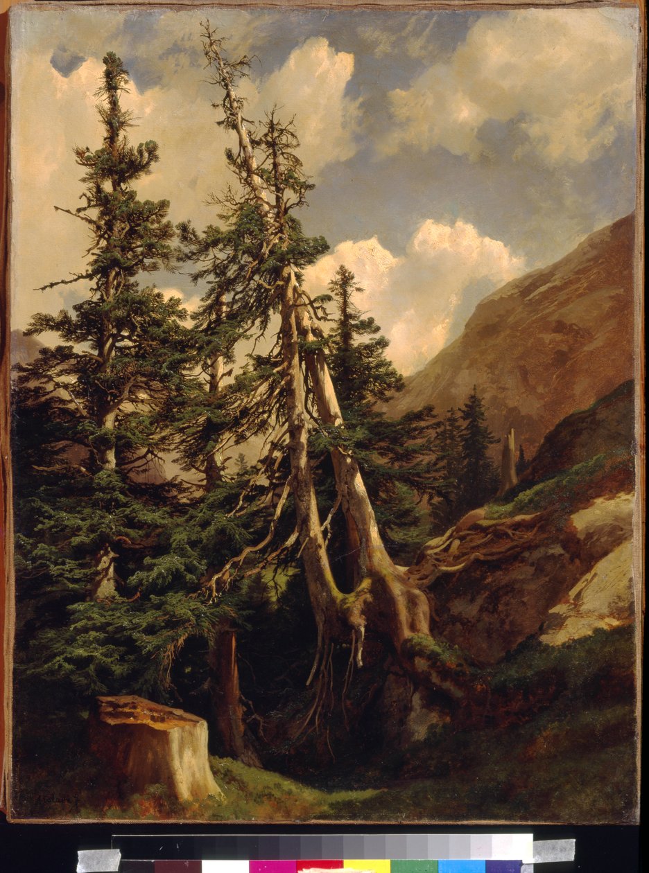 Jedle v horách od Calame, Alexandre (1810-1864). Olej na plátně, Rozměr: 68,5x53. Státní muzeum výtvarných umění A. Puškina, Moskva od Alexandre Calame