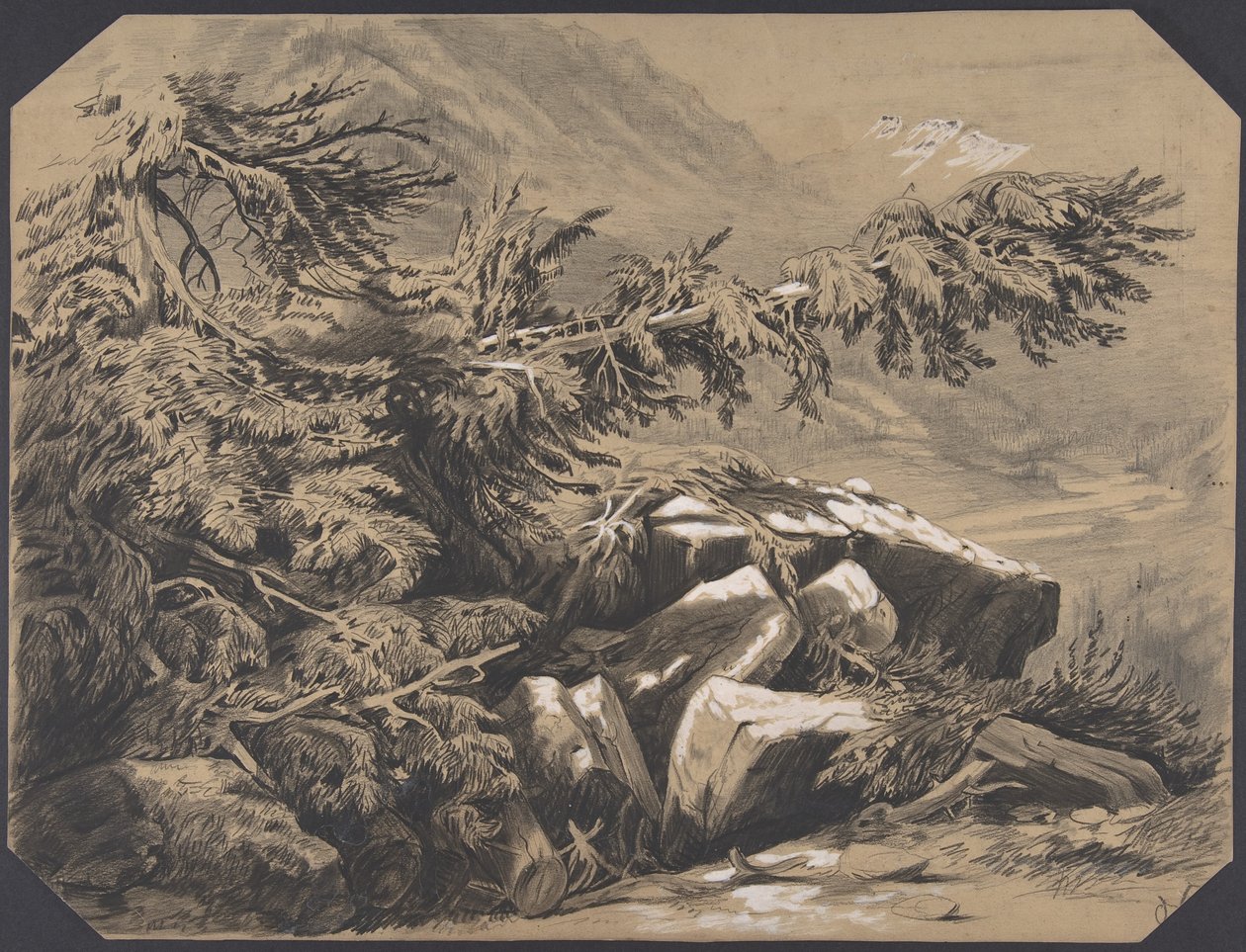 Lesy a hory od Alexandre Calame