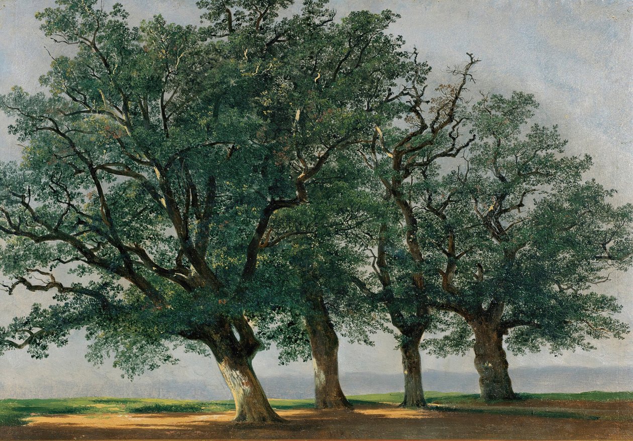 Čtyři velké stromy (olej na plátně) od Alexandre Calame