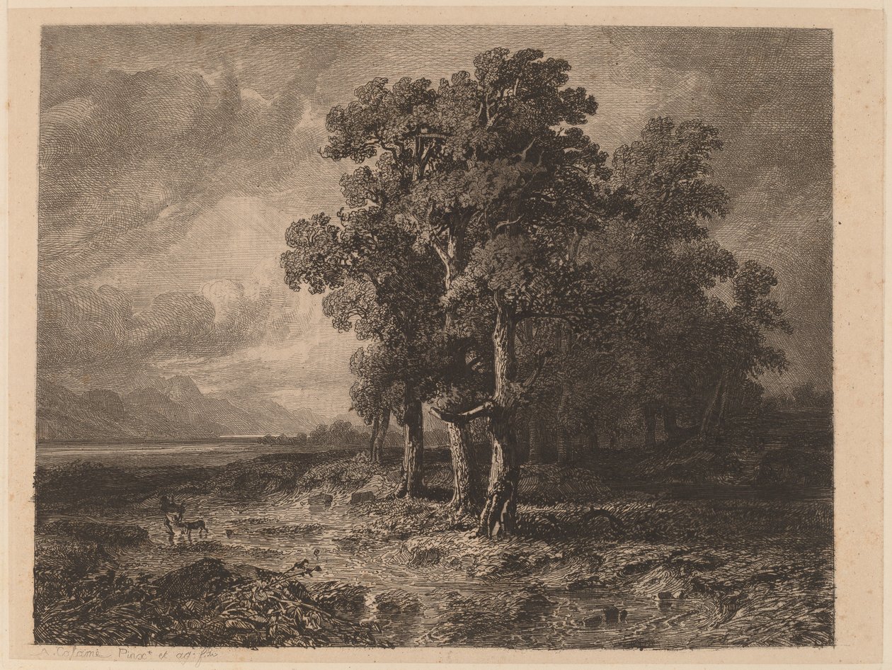 Stromy v bouři od Alexandre Calame