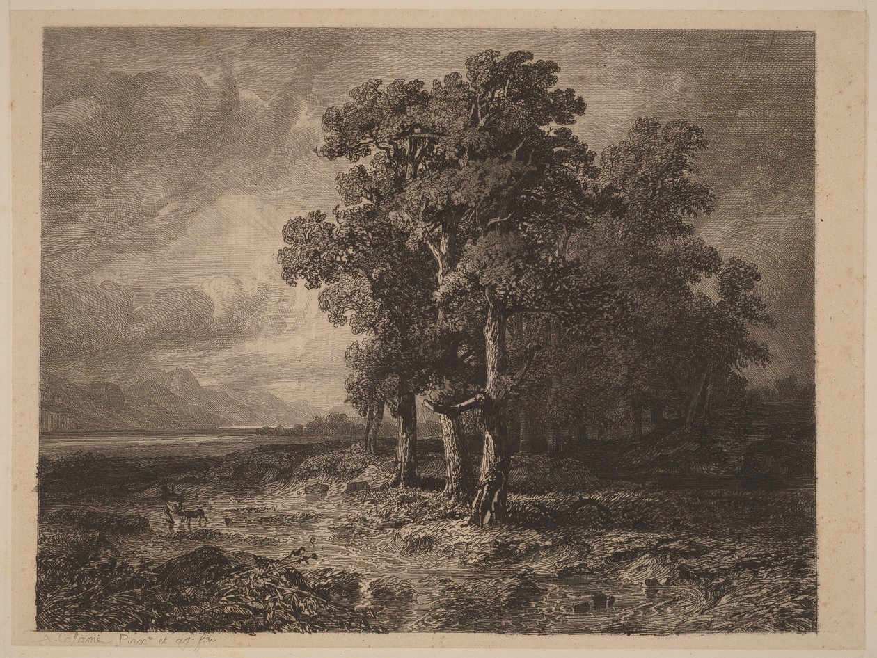 Stromy v bouři od Alexandre Calame