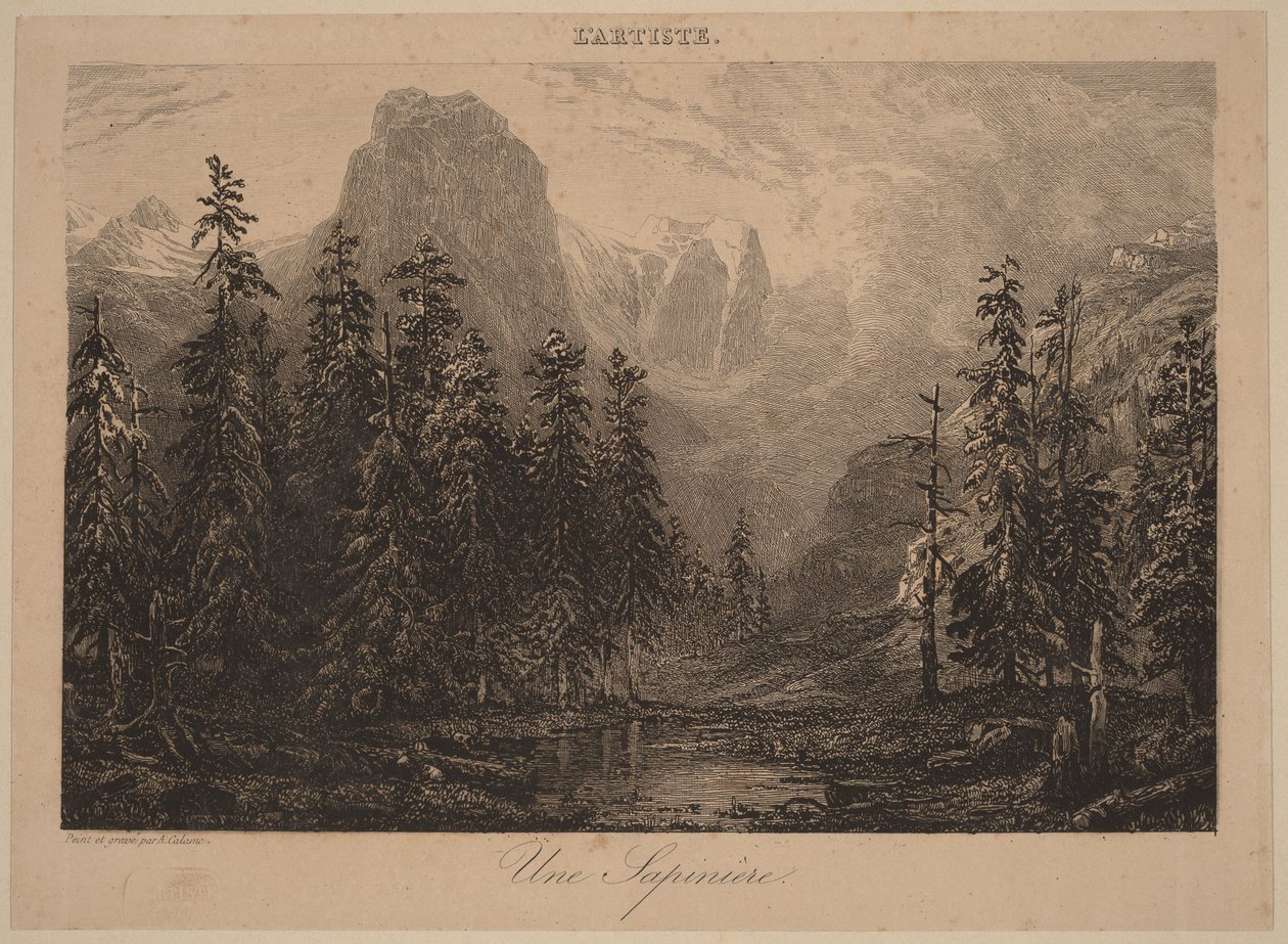 Jedlový háj od Alexandre Calame