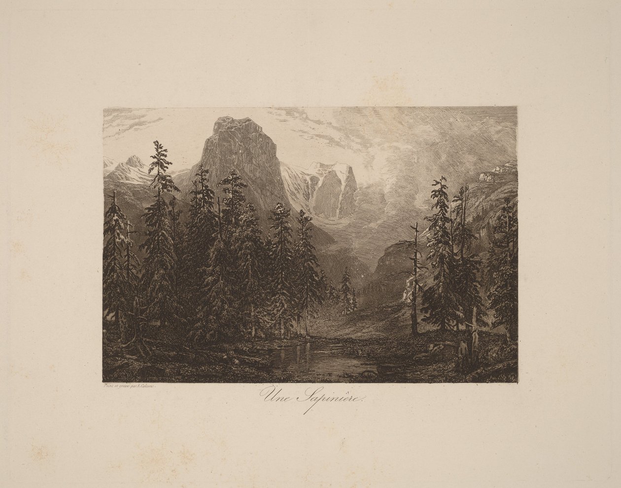 Jedlový háj od Alexandre Calame