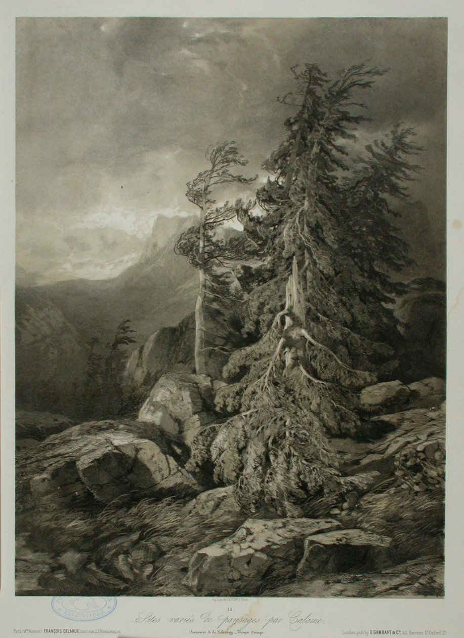 Bez názvu od Alexandre Calame