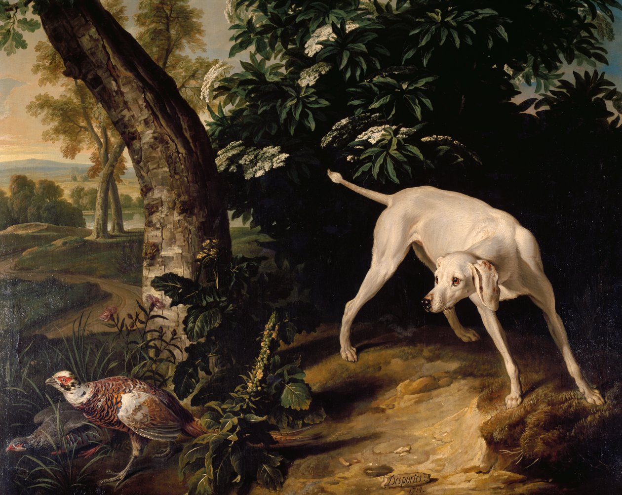 Lovecká scéna, detail z obrazu Alexandre-Francoise Desportese (1661-1743), Francie od Alexandre Francois Desportes