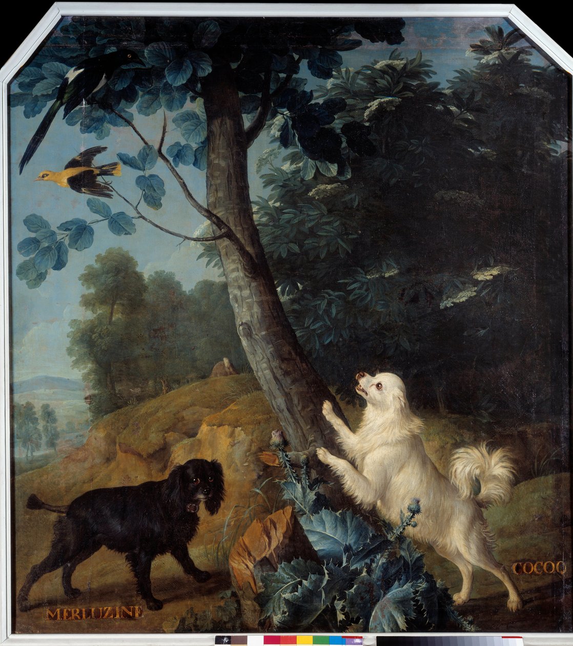 Merluzine a Cocoq, psi Ludvíka XIV. (1638-1715). Obraz Francoise Desportese (1661-1743) od Alexandre Francois Desportes