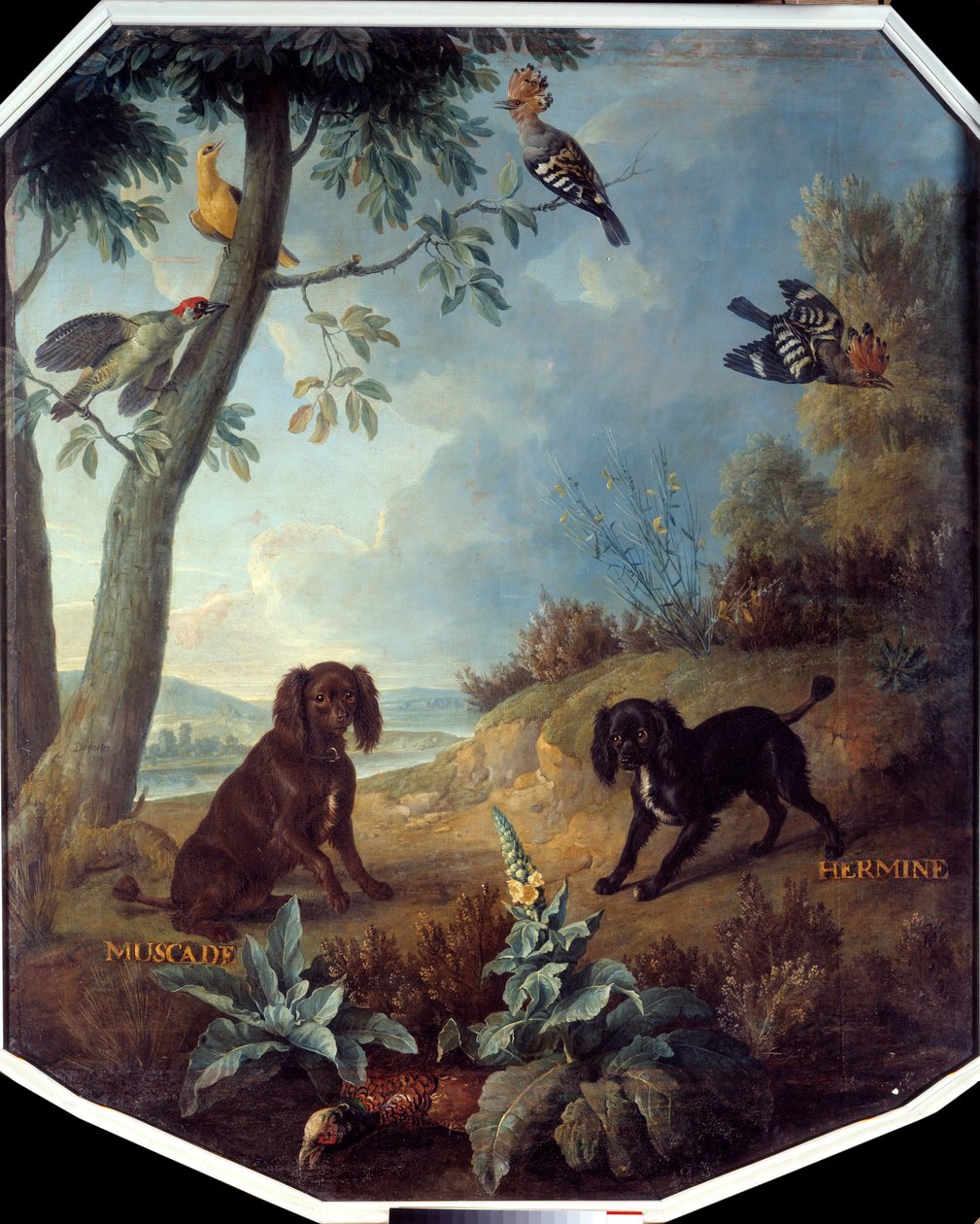 Muškátový oříšek a Hermine, psi Ludvíka XIV. (1638-1715). Obraz Francoise Desportese (1661-1743) od Alexandre Francois Desportes