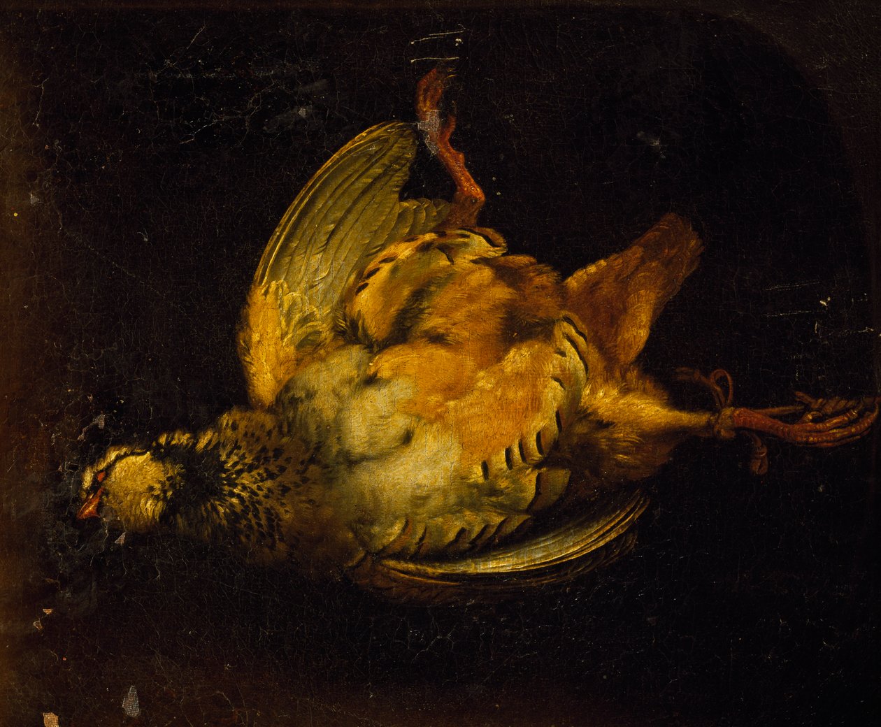 Zátiší s koroptví, obraz Alexandre-Francois Desportes (1661-1743), Francie od Alexandre Francois Desportes