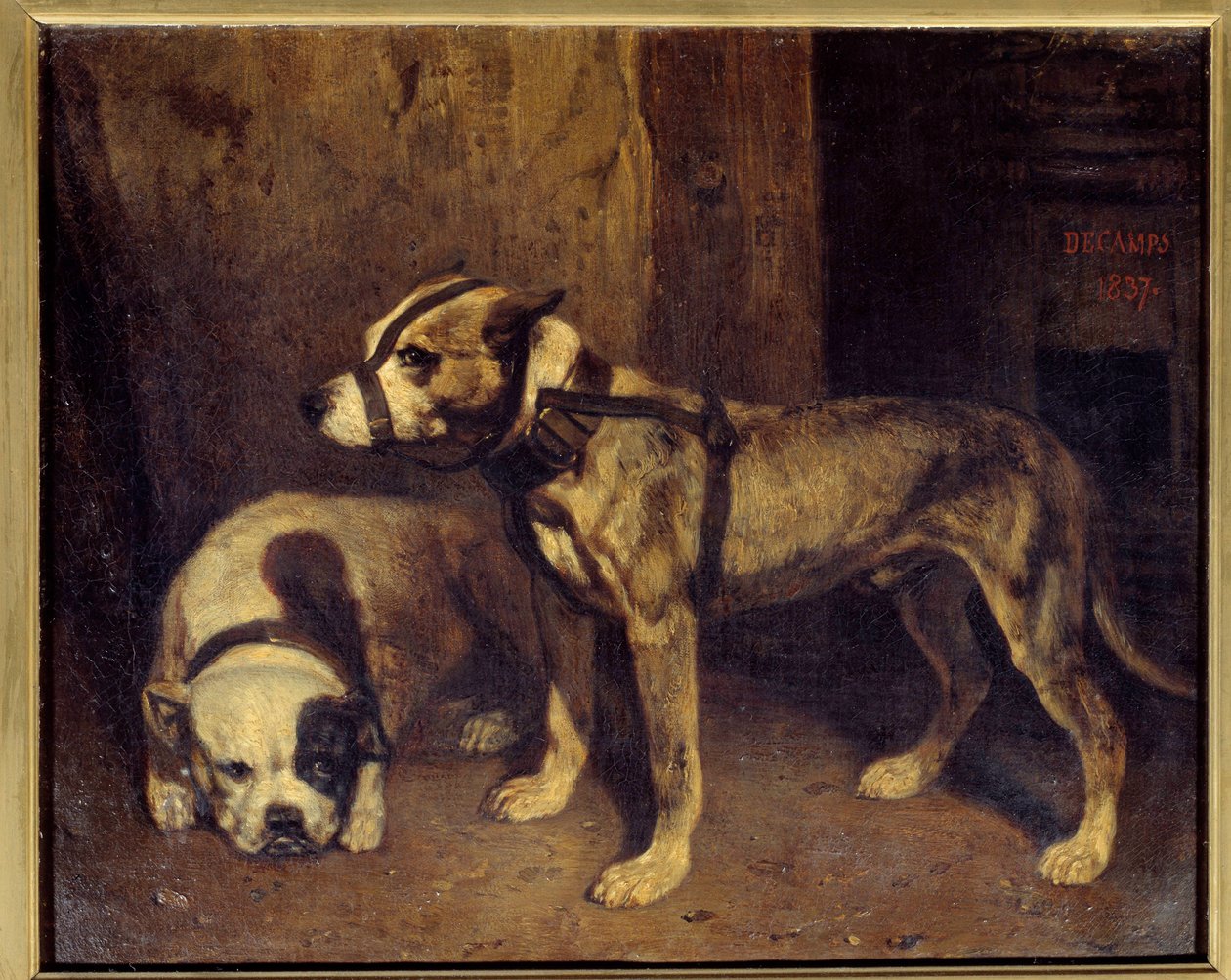 Skotský buldoček a teriér Malba Alexandra Gabriela Decampse (1803-1860) 19. století Sun. 1,04x1,34 m od Alexandre Gabriel Decamps