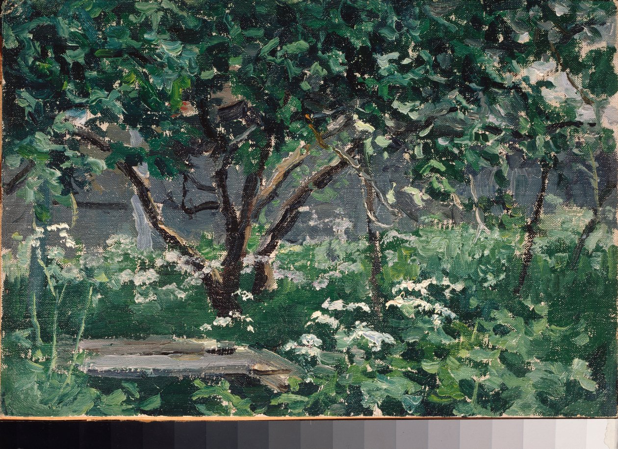 Un coin du jardin (Koutek zahrady) - Dílo Alexeje Stěpanoviče Stěpanova (1858-1923), olej na kartonu od Alexei Steipanovitch Stepanov