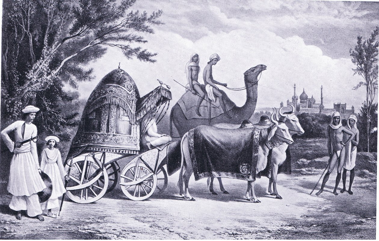 Harémový kočár posledního krále Dillí 1857 našeho letopočtu od Alexis, Prince Soltykoff