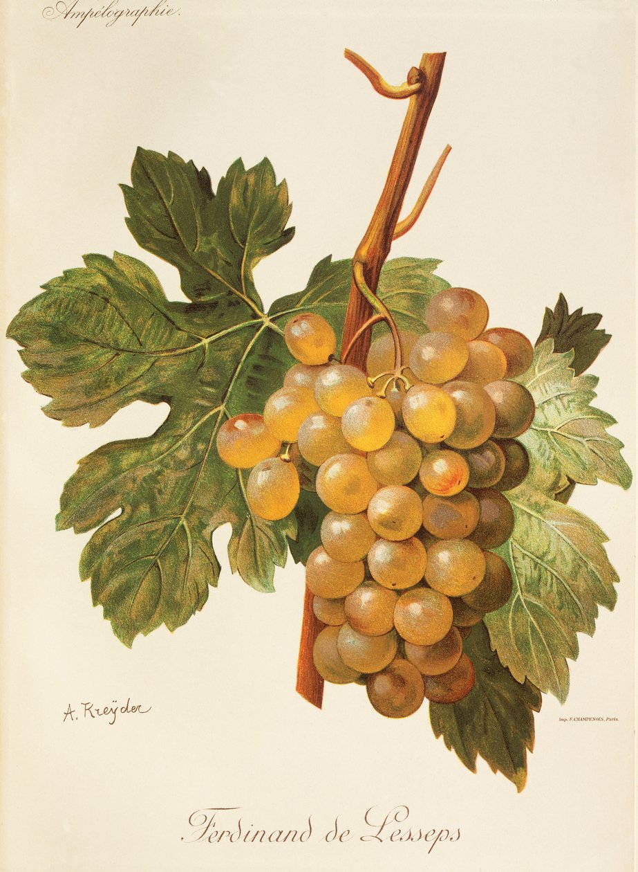 Hrozen Ferdinand de Lesseps od A. Kreydera od Alexis Kreyder