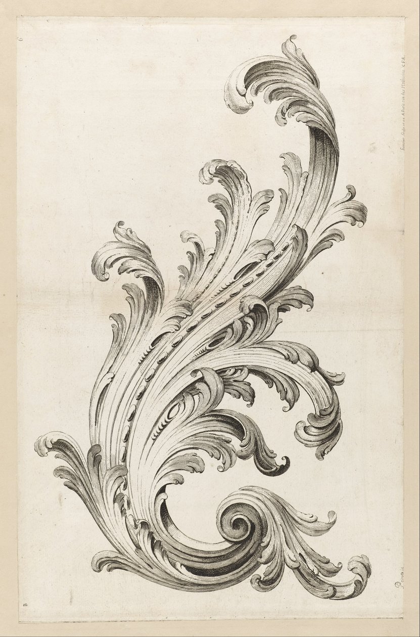 Acanthus Leaf Design od Alexis Peyrotte