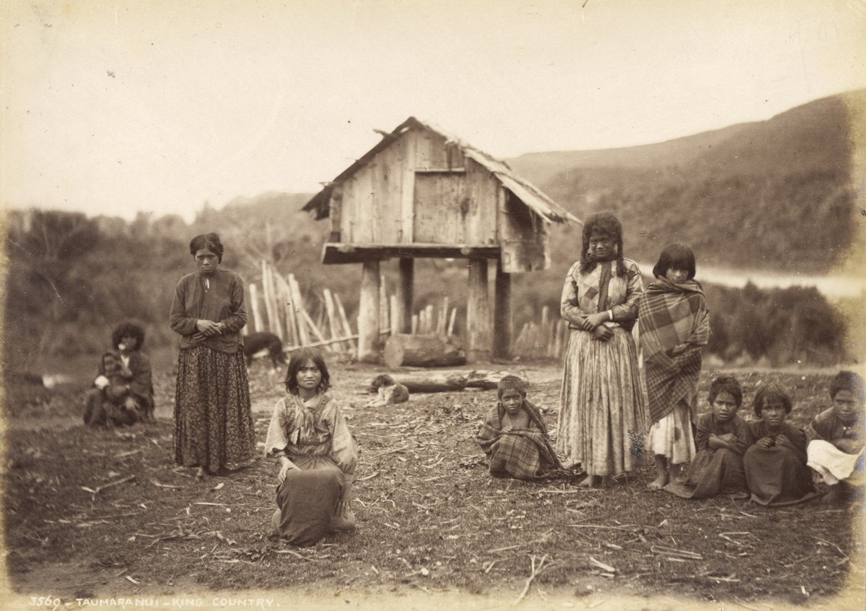 Taumarunui - King Country, 29. května 1885 (tisk alba) od Alfred Burton