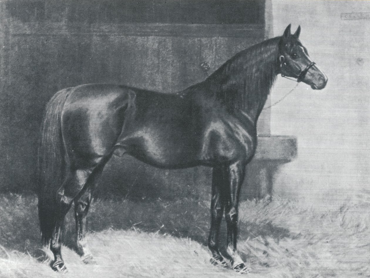 Cyllene, britský čistokrevný závodní kůň od Alfred Charles Havell