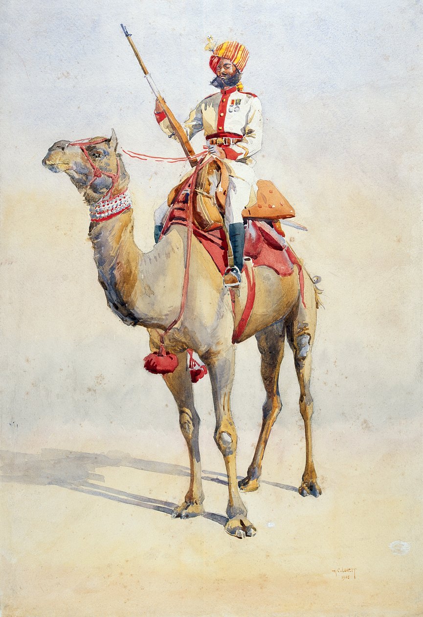 Sowar z Bikanir Camel Corps, ilustrace k 