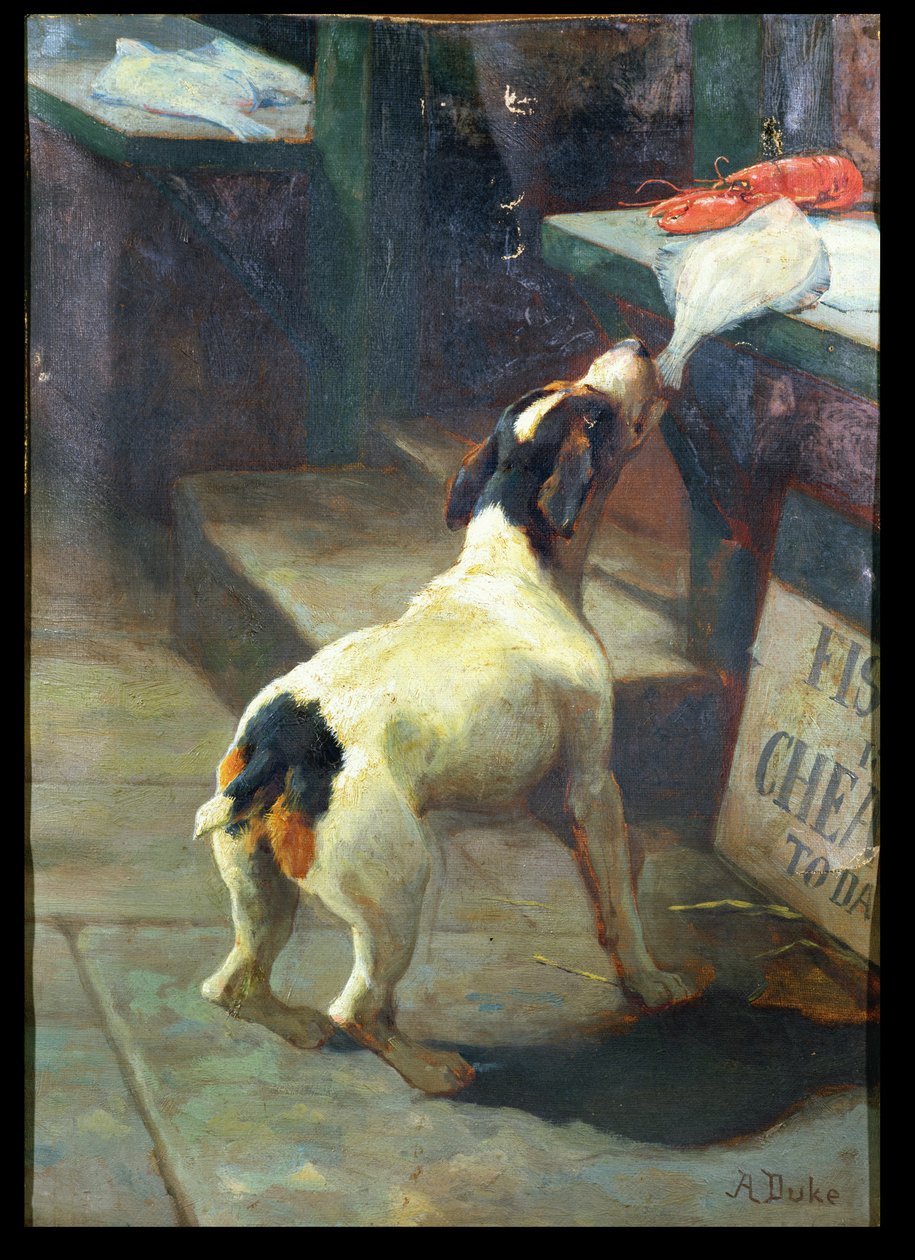 Ryby jsou dnes levné od Alfred Duke