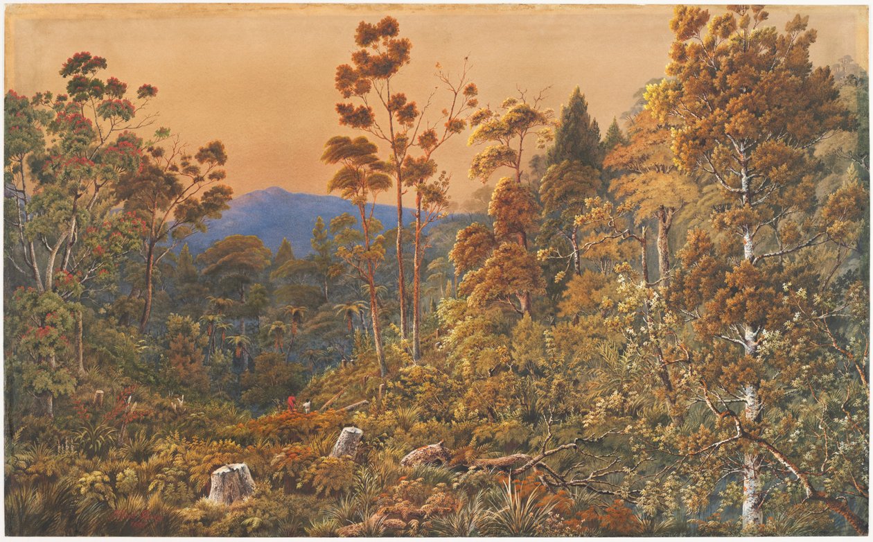 Zlatý večer, ostrov Waiheke od Alfred Sharpe