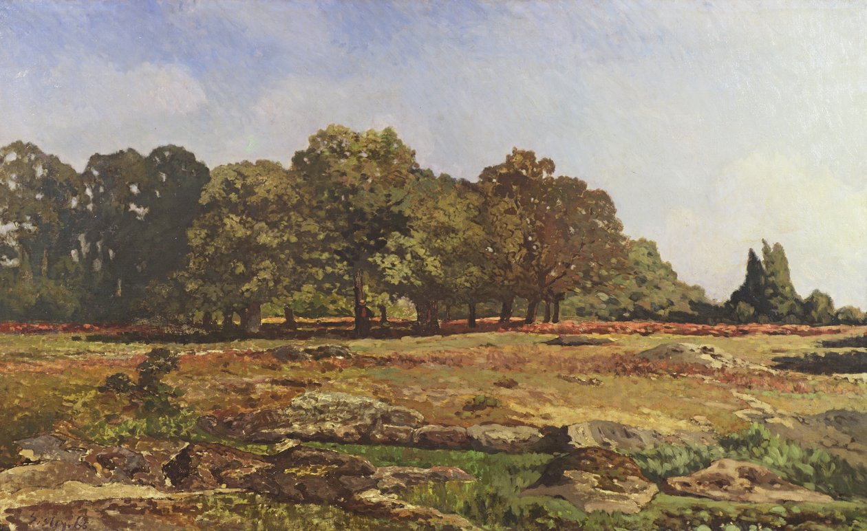 Avenue of Chestnut Trees v La Celle-Saint-Cloud, cca 1866-67 od Alfred Sisley