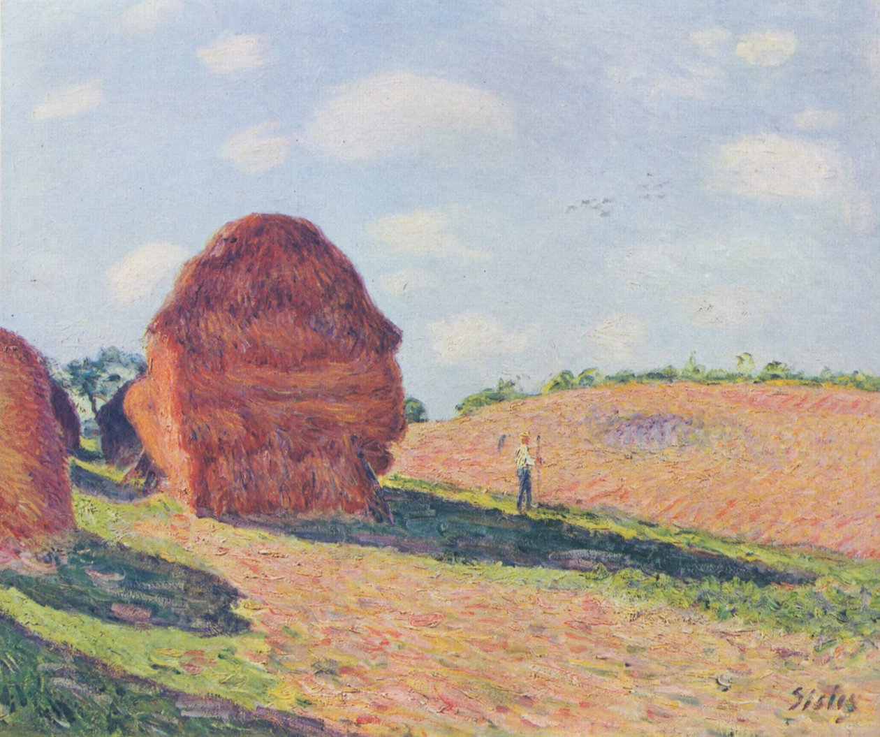 Sláma pronajímá od Alfred Sisley