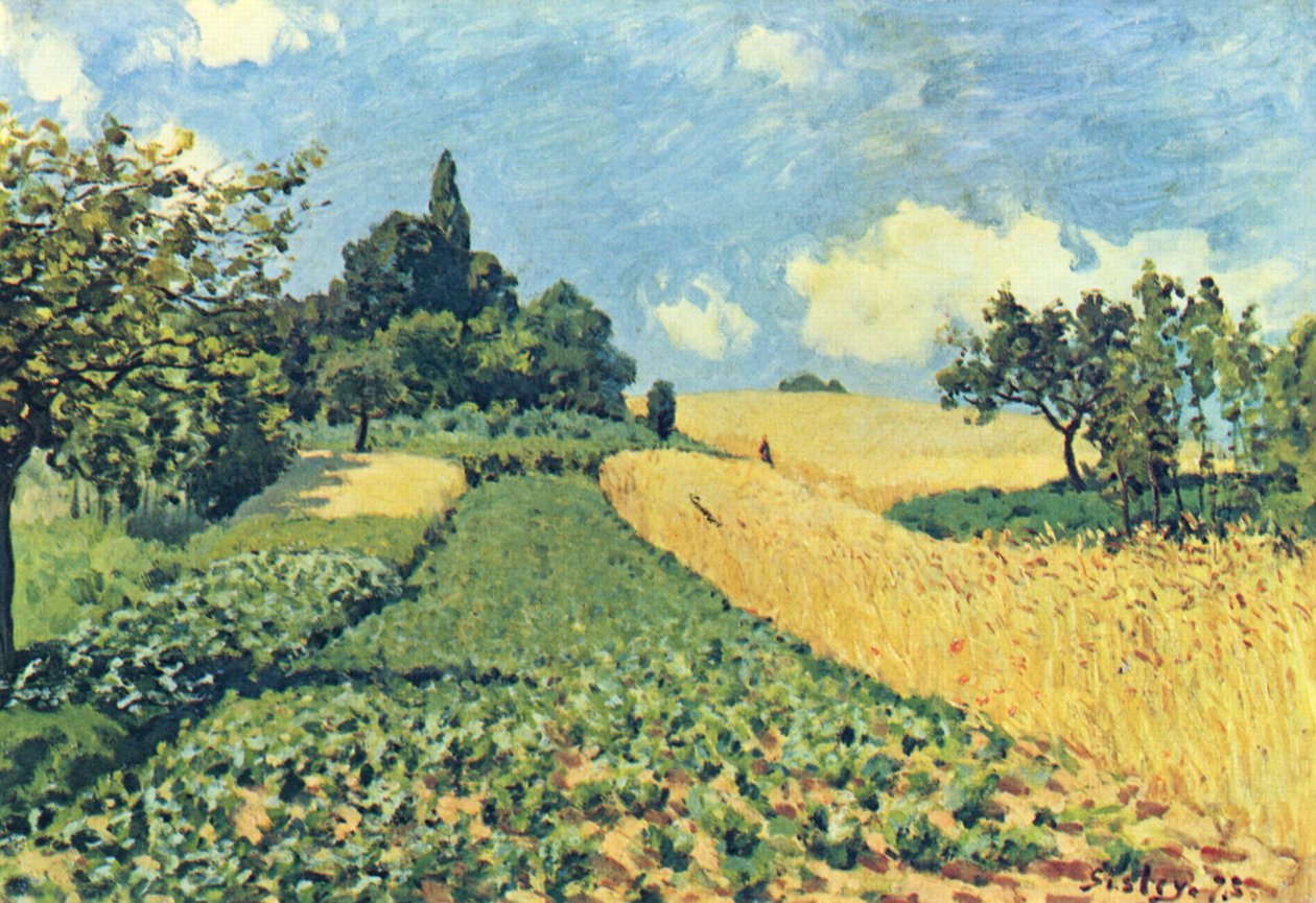 Obilná pole na kopcích Argenteuil od Alfred Sisley