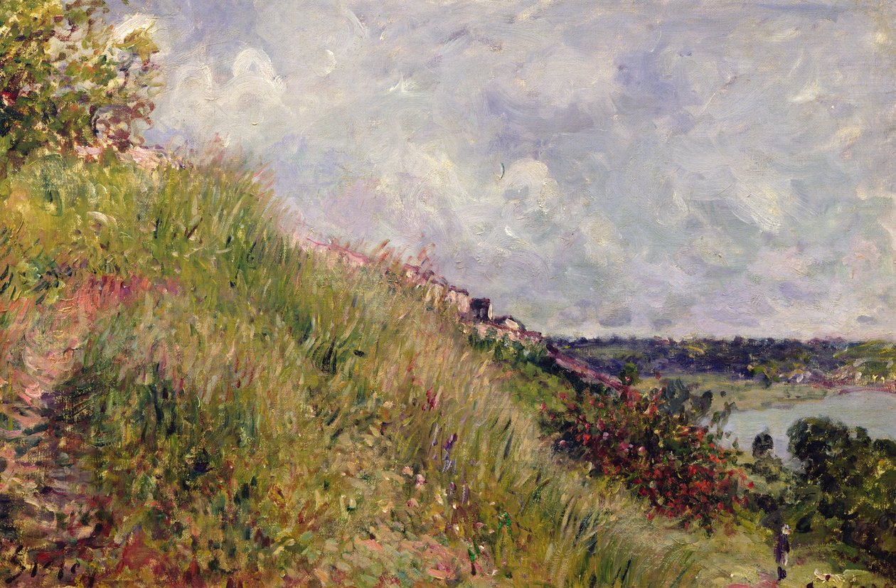 Seina, pohled na svahy By, 1881 od Alfred Sisley