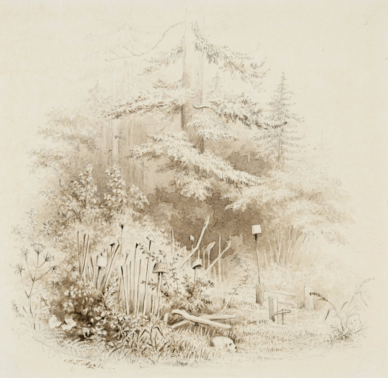 Indian Burial Place, Oregon, 1841 (štětec a hnědý mytí, s grafitem, na krémově tkaném papíře) od Alfred Thomas Agate