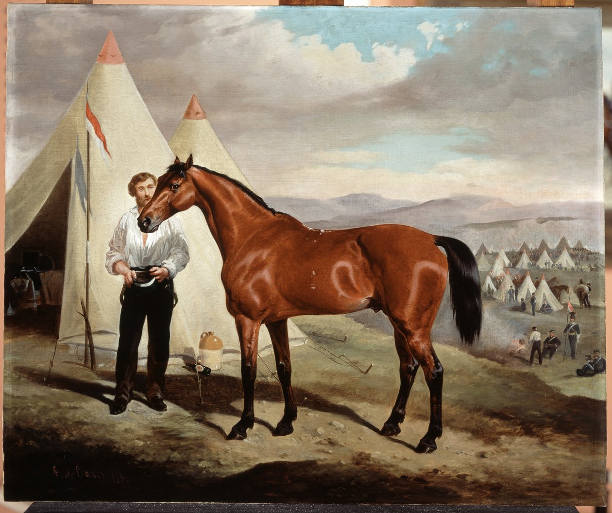 Sir Briggs, kůň Lorda Tredegara (1831-1913) ze 17. Lancerů, v táboře na Krymu 1854, 1856 od Alfred de Prades