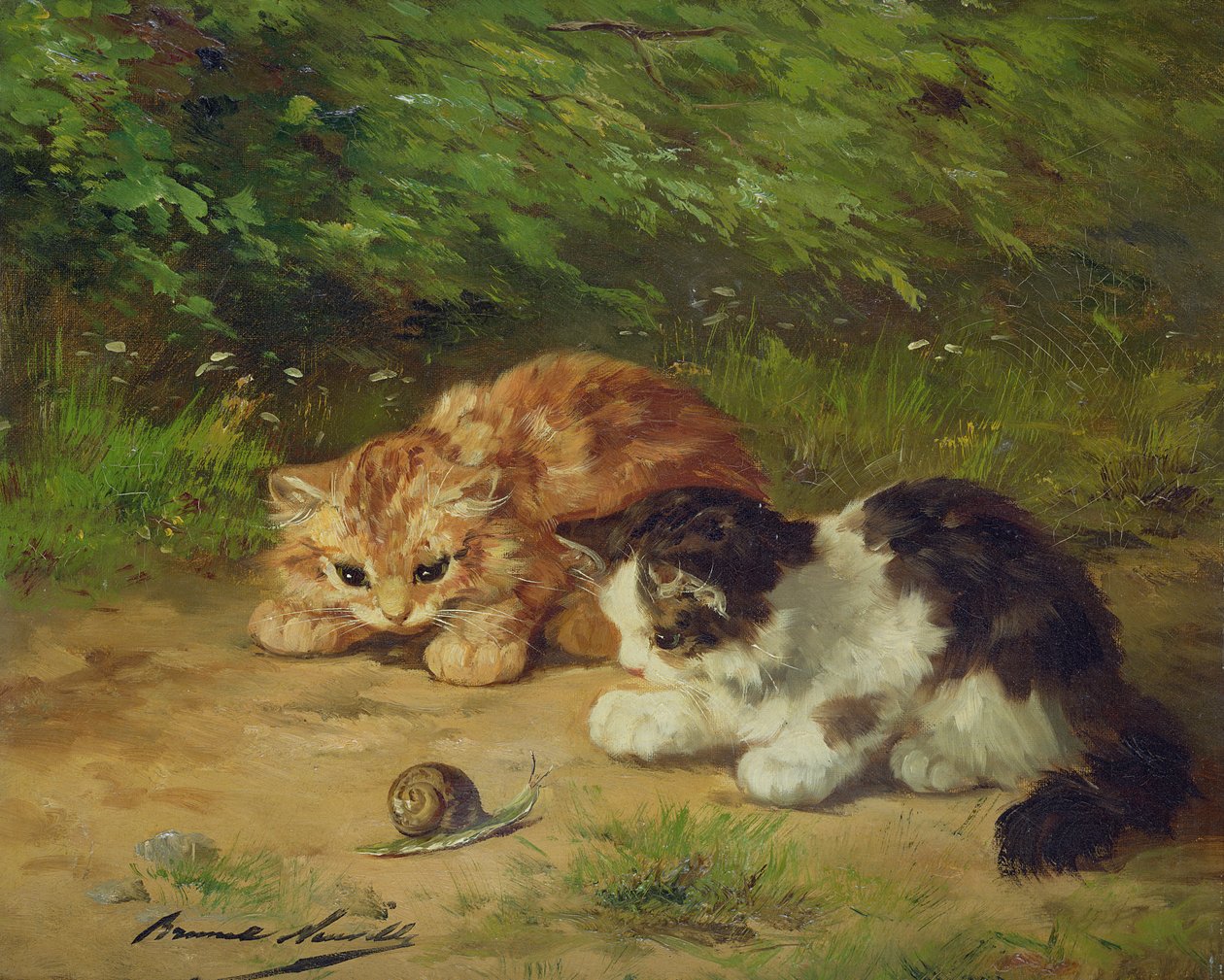 Koťátka a šnek od Alfred Brunel de Neuville