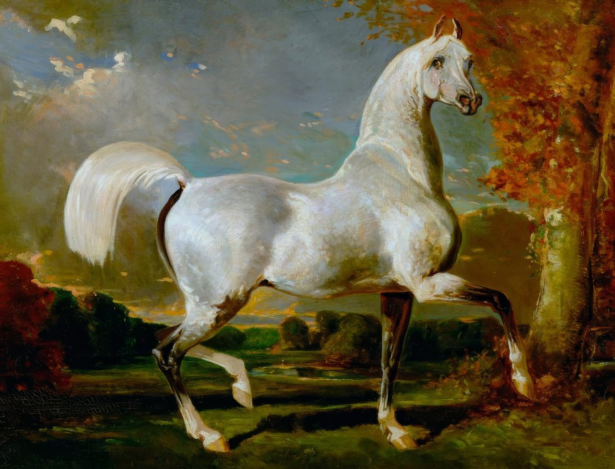 Arabský hřebec od Alfred Dedreux