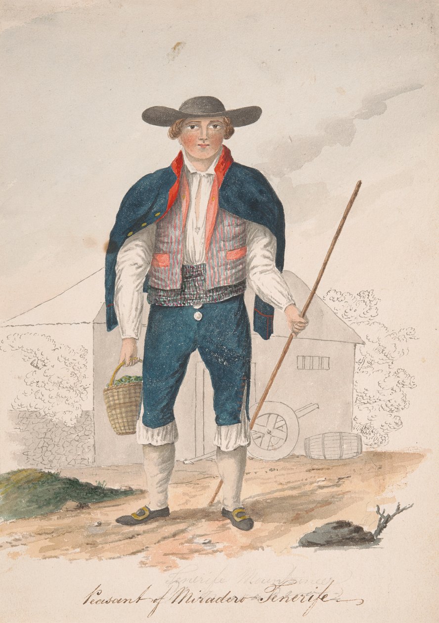 Rolník z Miradero, Tenerife od Alfred Diston
