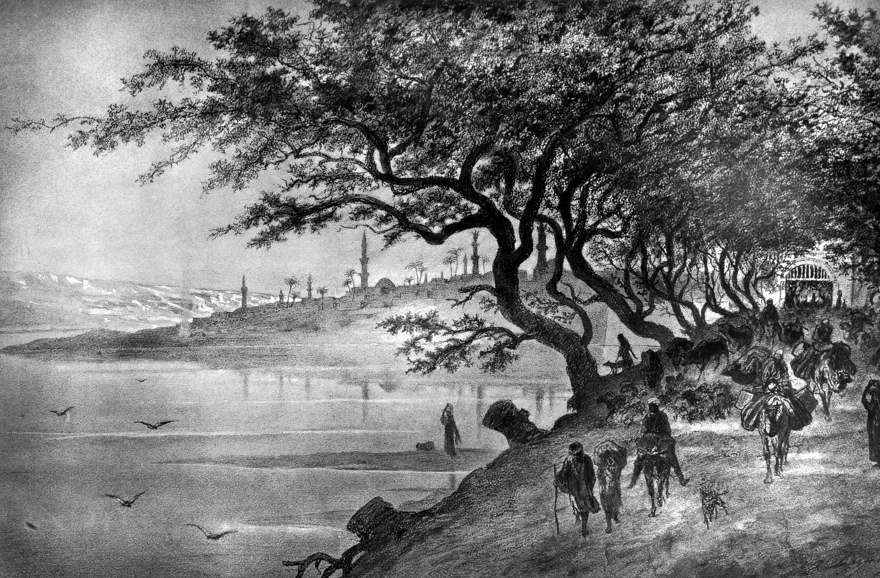 Z Káhiry a Horního Egypta, 19. století od Alfred Henri Darjou