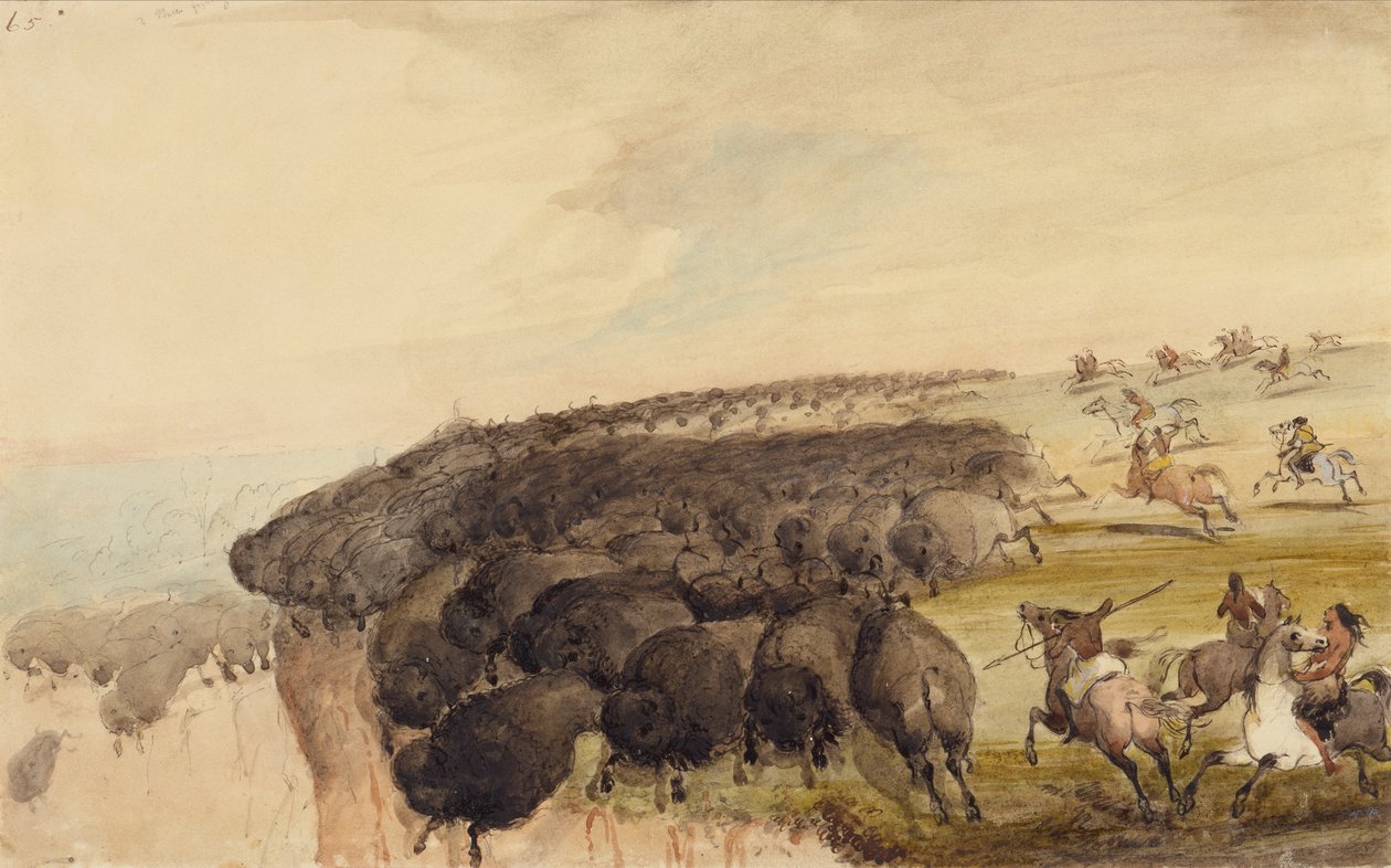Driving Herds of Buffalo over a Precipice, c.1837 (tužka, pero, inkoust a akvarel na papíře) od Alfred Jacob Miller