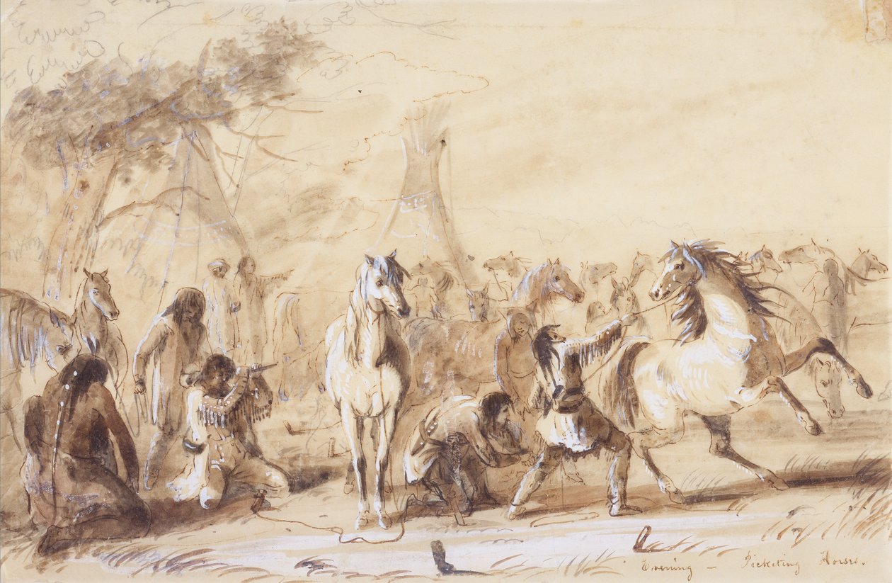 Evening, Picketing Horses, c.1837 (tužka, praní a kvaš na papíře) od Alfred Jacob Miller
