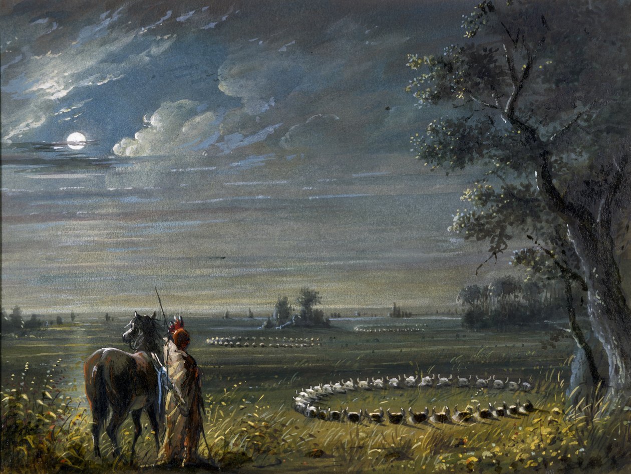 Léčebné kruhy od Alfred Jacob Miller