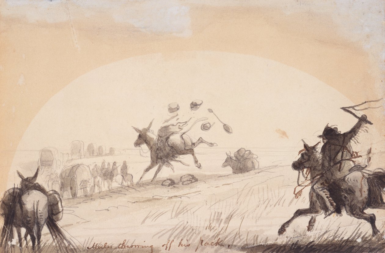 Mule Throwing Off His Pack, kolem roku 1837 (tužka, pero a inkoust a mytí na papíře) od Alfred Jacob Miller